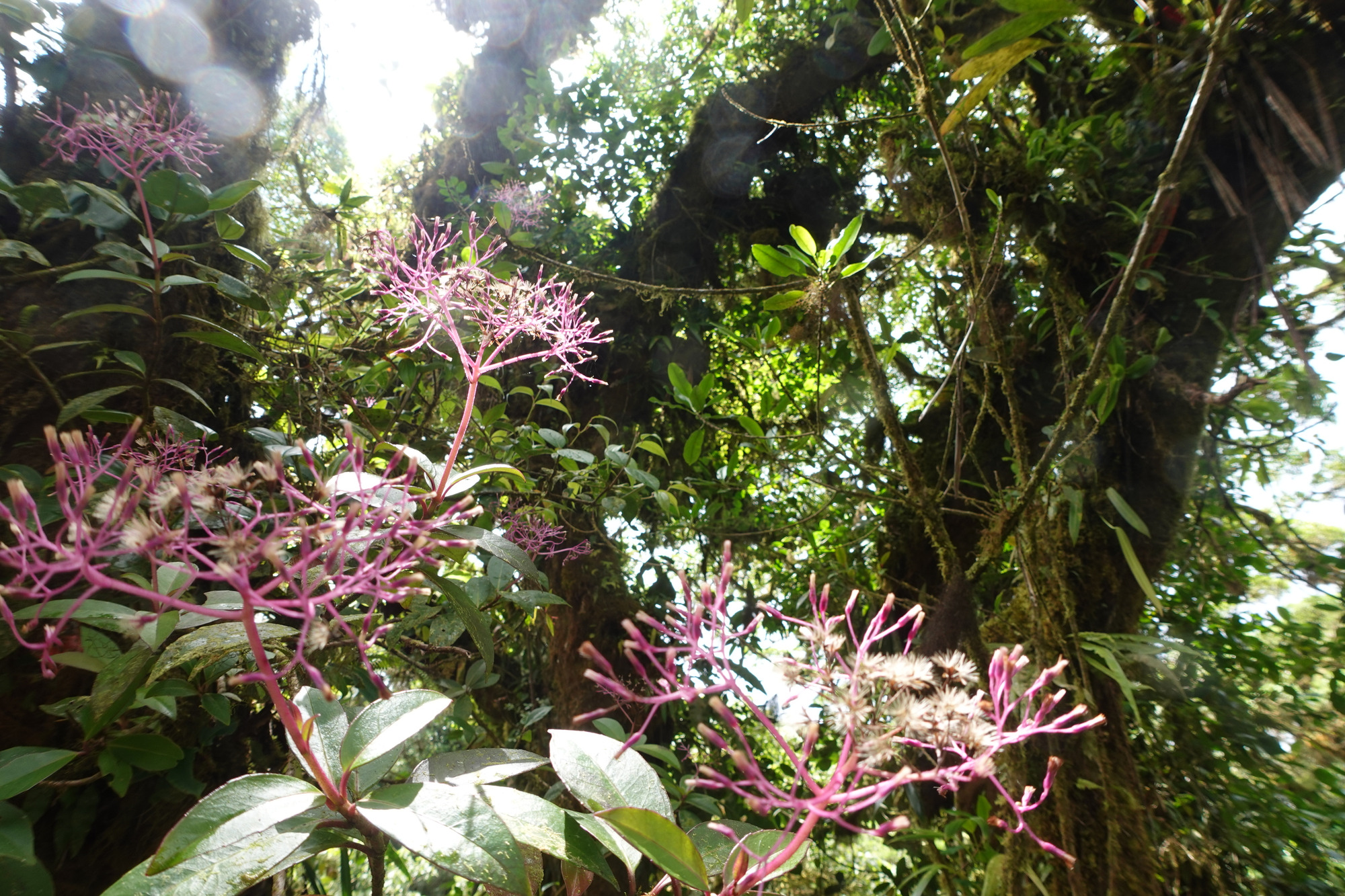 DSC01580