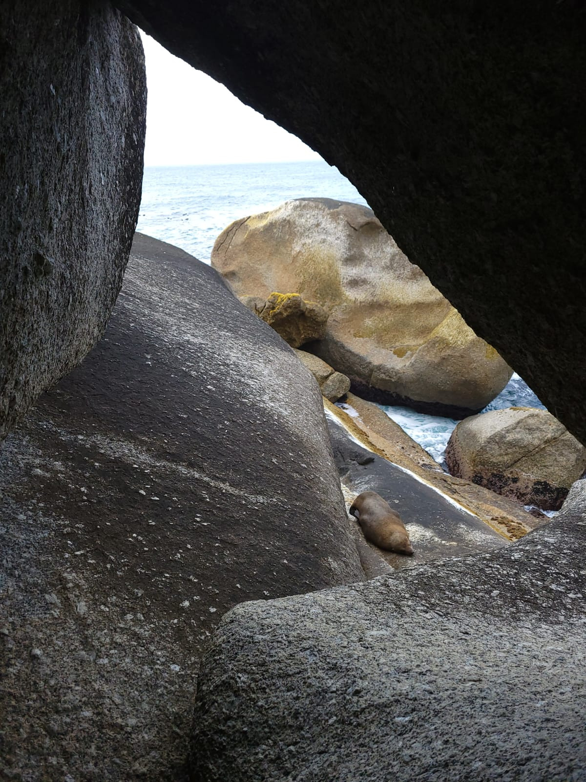 IMG-20211216-WA0128